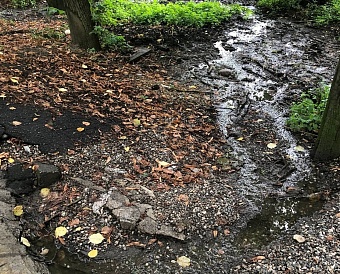 Росприроднадзор проводит проверку по факту загрязнения водоема в г. Нальчик